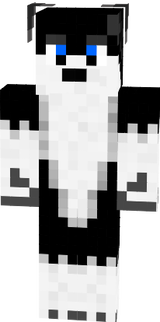 SKIN2