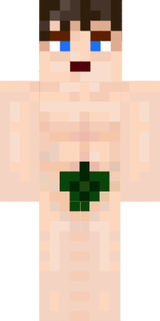 dvdfv