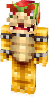 bowser skin