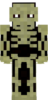 skeletonnisko312