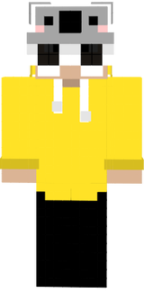 DigDimOF