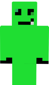 skinek