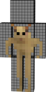 gato