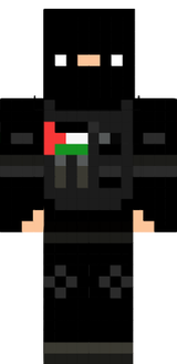 Palestine Skin