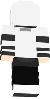 fine Minecraft Avater