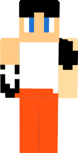 SKIN DE CHELL