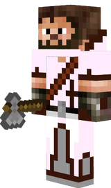 Assasins Steve