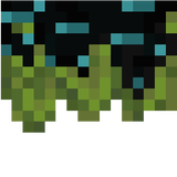 Void plant leaves