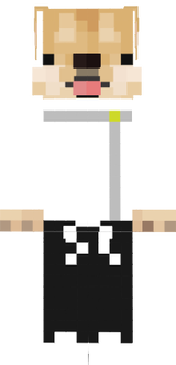 sd