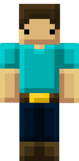8 bits Steve