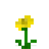 goldenpoppy