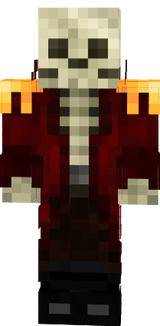 binga skin