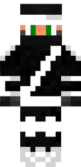ninja skin 