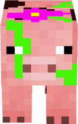 pig