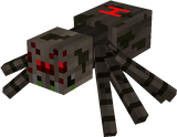 spider