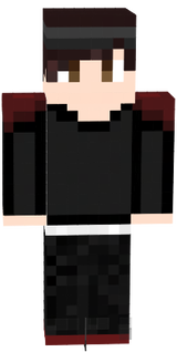 SAIREX