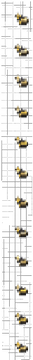disc_fragment_5