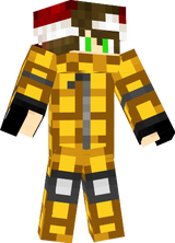 FlyGUY