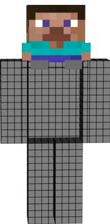 mini steve