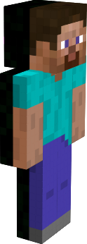 Preview of texture: endersteve
