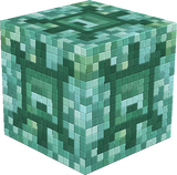 fxdhfg