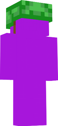 Preview of texture: tt