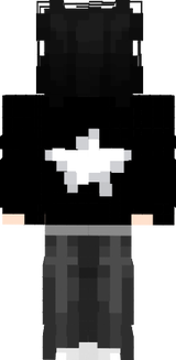 SKIN PRINCIPAL