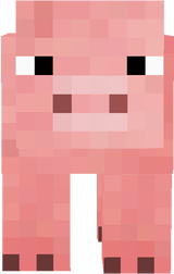 pig