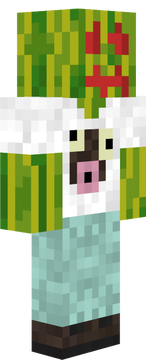 fdsc