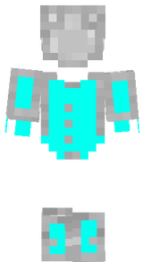 PS Ninja 21 fantome