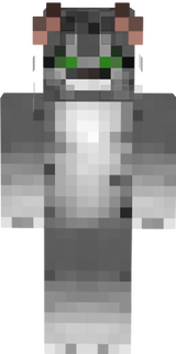 Katze