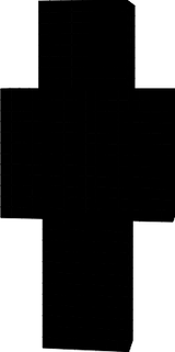163131313131133