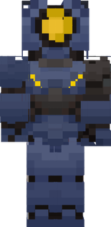 v1