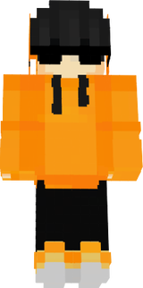 parsa