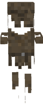 stray_overlay