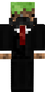 mr minecraft