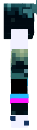 Preview of texture: WARDEN