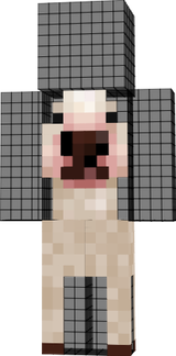 li