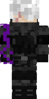 segundo modelo de skin