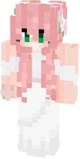 skin minecraft