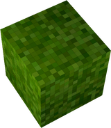 gtuyhghb