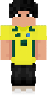 r9brazilchar