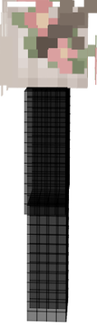 Shigoo 2