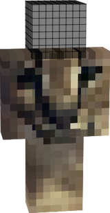 Floppa