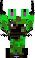 Preview of texture: skins