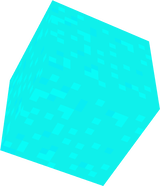 bloc5