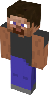 Warrior steve