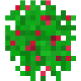 strawberry_bush_stage2