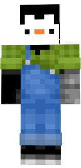 L1