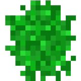 strawberry_bush_stage1